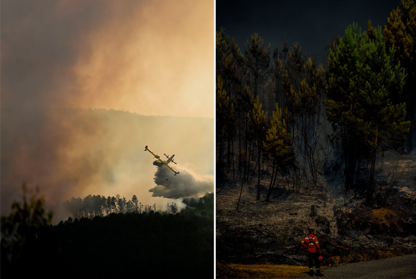 Left: firefighter plan dropping water over a wildfire in a forest, the sky filled with smoke; right: a firefighter standing in a road looking at damage from a wildfire with ash and burnt foliage among partially burnt trees