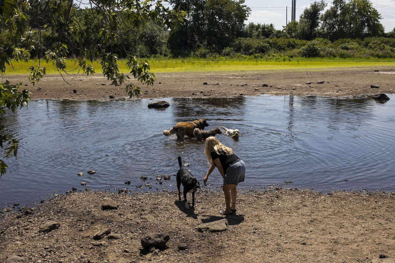 a woman pets a dog near a low river with lots of dead dry grass