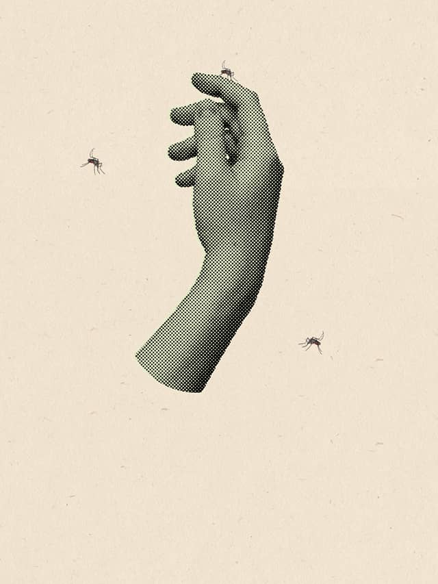 Humidity, the mosquito, and me