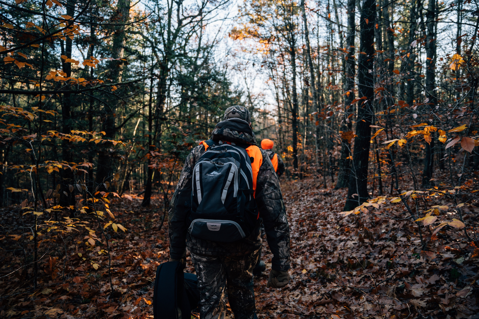 a person with a backpack stands in the woods with colored leaves all around