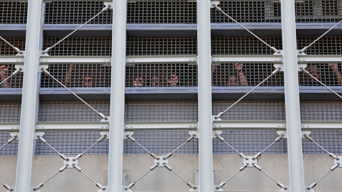 Multiple incarcerated people looking out a screened prison window