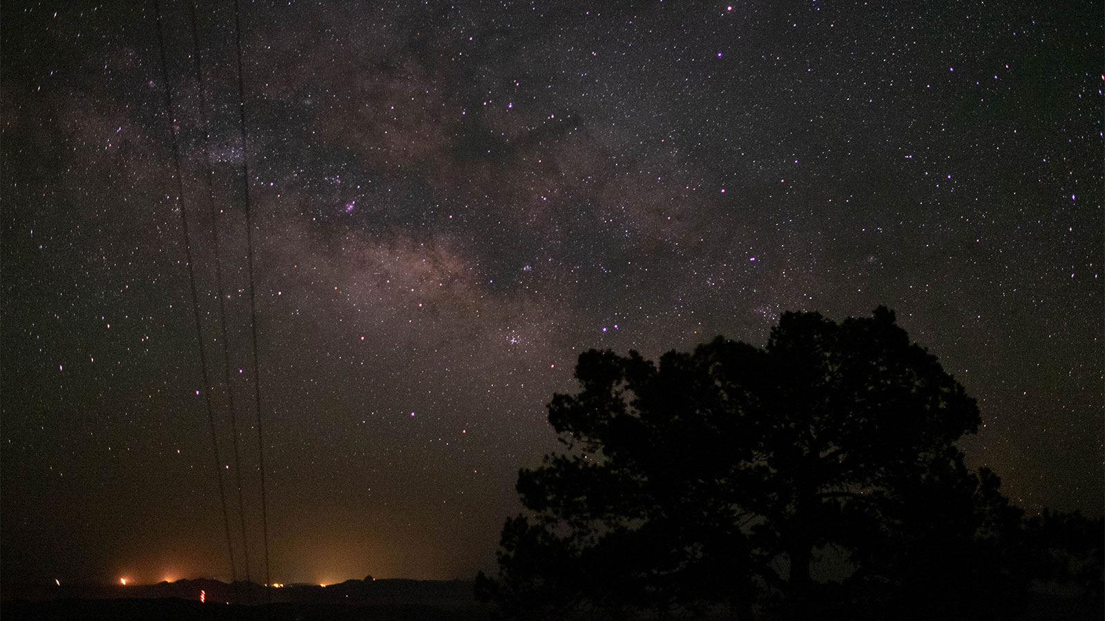 A picture of a tree set against the Milky Way with points of artificial light on the horizon.