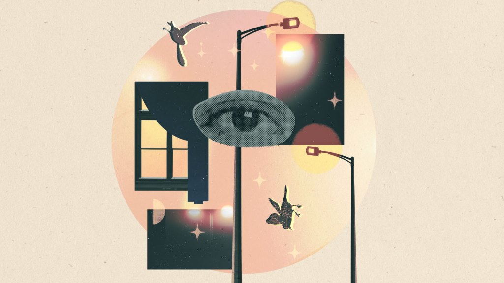 Collage: an eye surrounded by silhouettes of falling birds, street lamps, rectangular cutouts of night sky, and a window with a curtain silhouette made of night sky; drawn star graphics on top