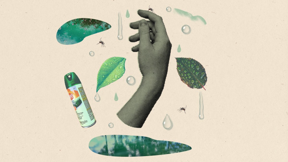 Collage: a hand surrounded by water droplets, wet leaves, cutouts of ponds, mosquitoes, and a can of bug spray