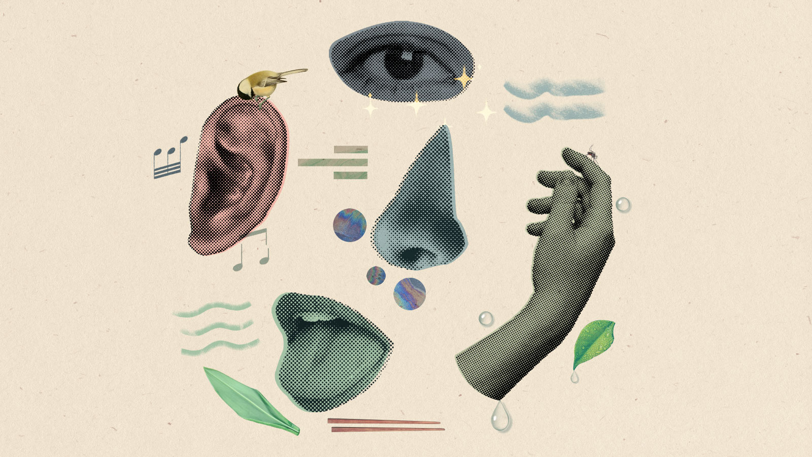 Collage: an eye, a hand, a nose, an open mouth, and an ear, surrounded by leaves, chopsticks, music notes, stars, and cutouts of oil slicks