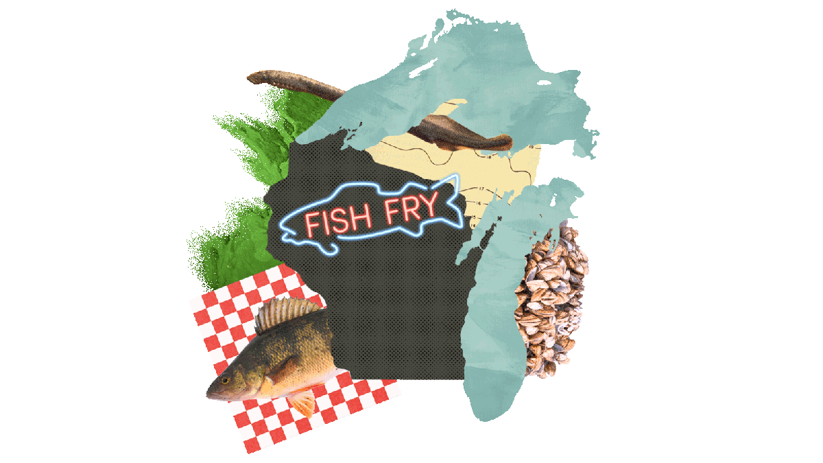 Collage: State of Wisconsin, Lake Superior, and Lake Michigan, with an algal bloom, sea lamprey, zebra mussels, a perch fish on top of red and white checked paper, and a blinking neon sign in the shape of a fish that reads "Fish Fry"
