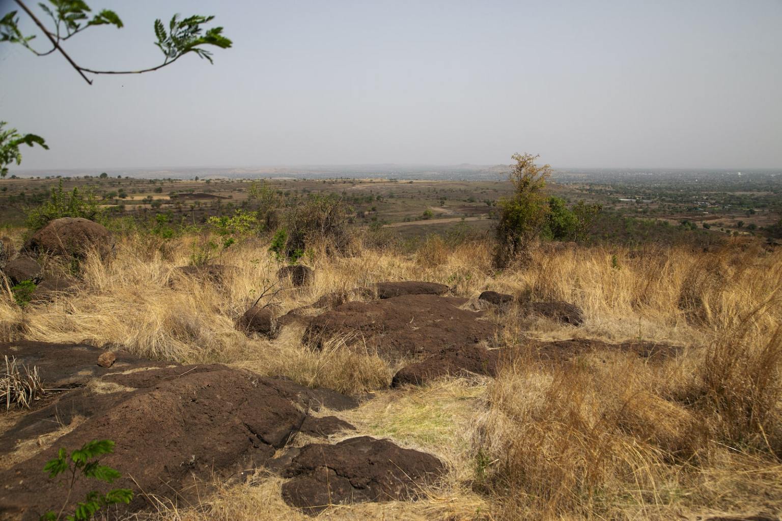Sparsh Hiware The rebirth of Hiware Bazar | Grist