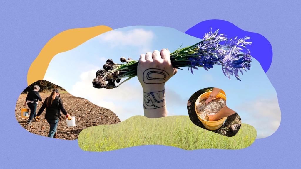 Collage of hand holding camas, prairie grass, people working on restoration