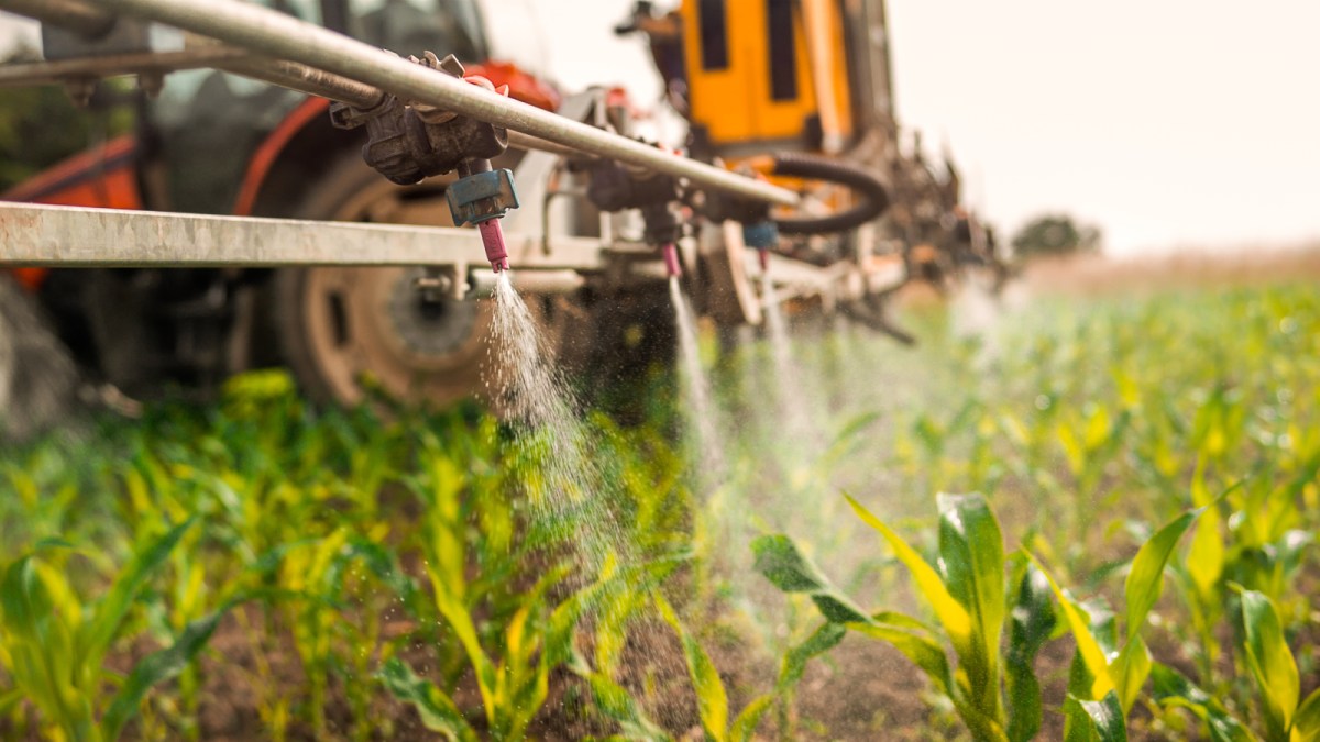 Chemicals are sprayed onto green crops. The chemicals are part of farm machinery.