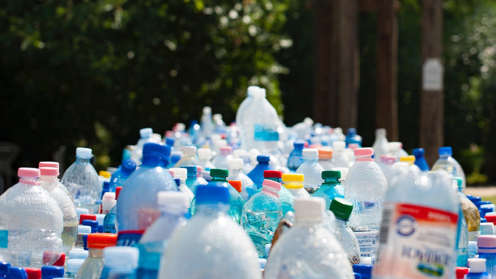 Numerous recyclable plastic bottles arranged in a group.