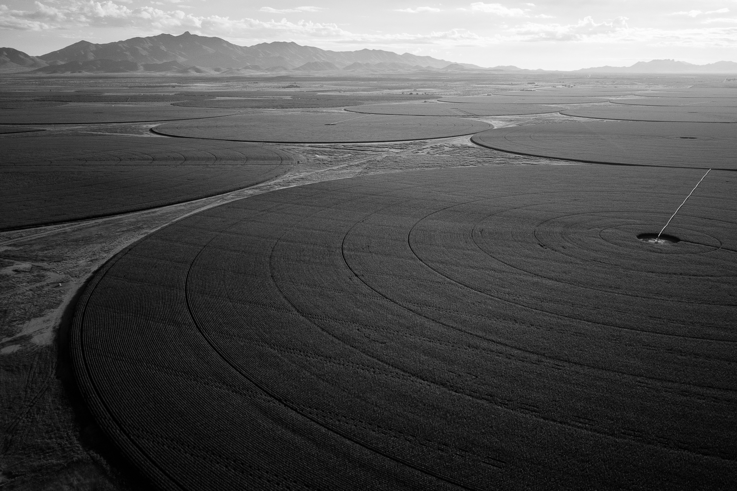 rings of cropland from aerial view