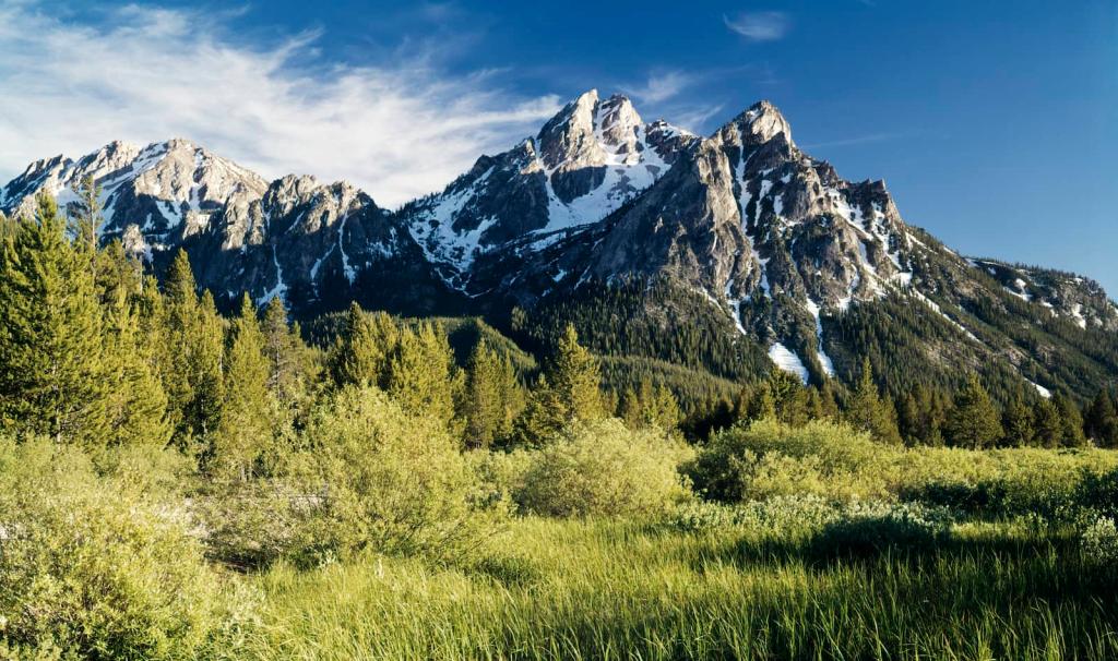 McGowan Peak in Idaho, surrounded by forest.