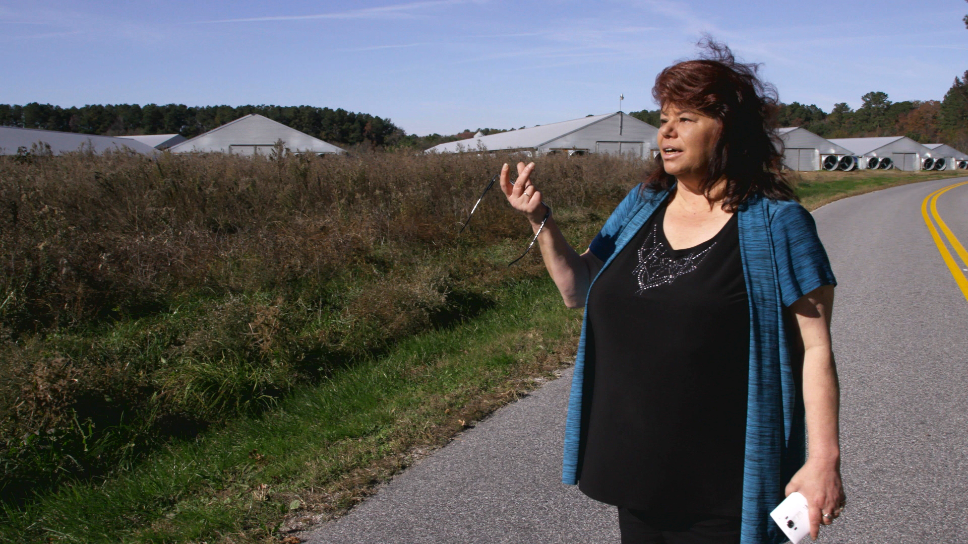 A woman with brown hair, a blue jacket, and a black shirt stands next a field on a country road.