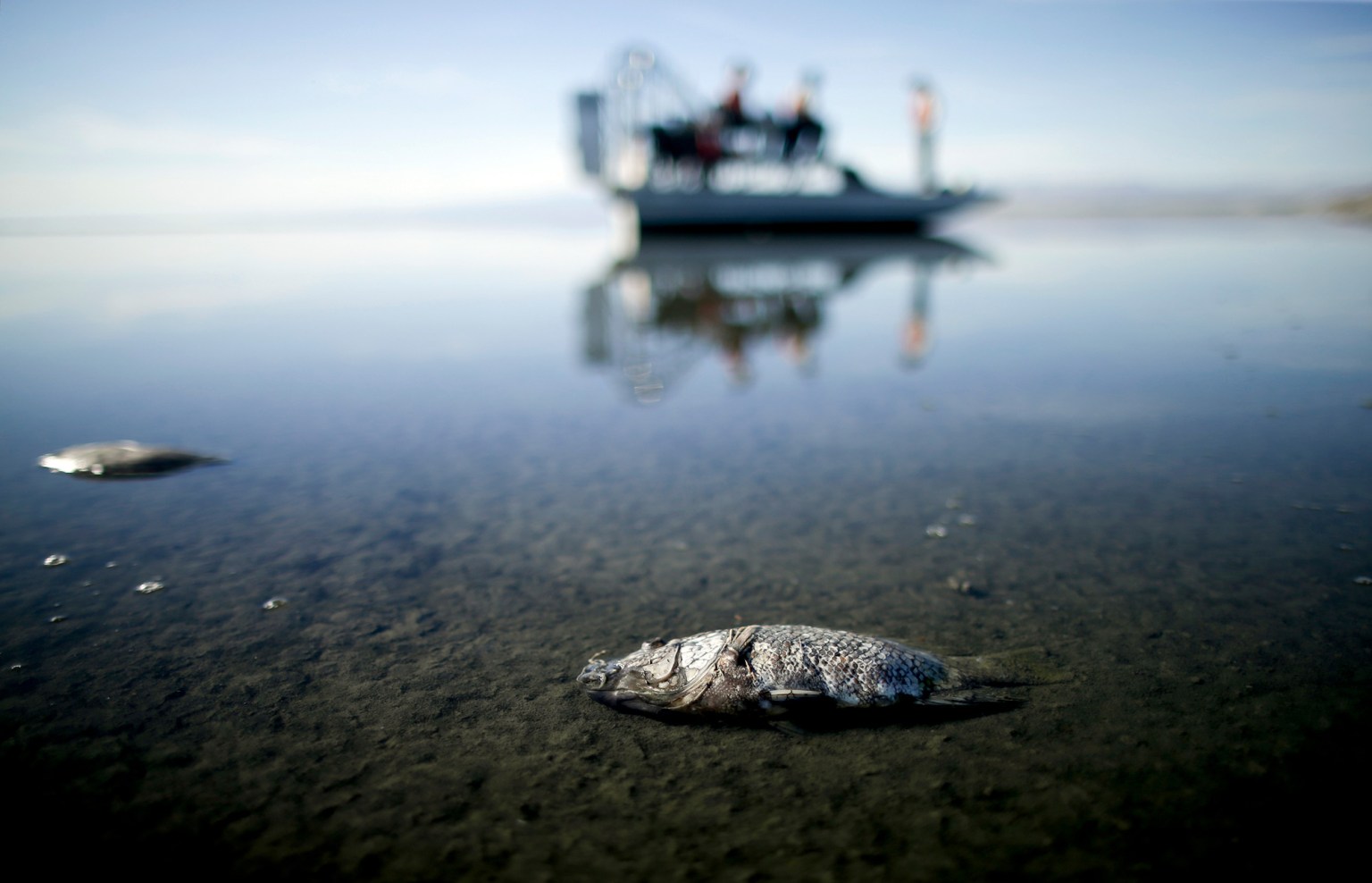California's Salton Sea was an aquatic oasis. Now it's a toxic death