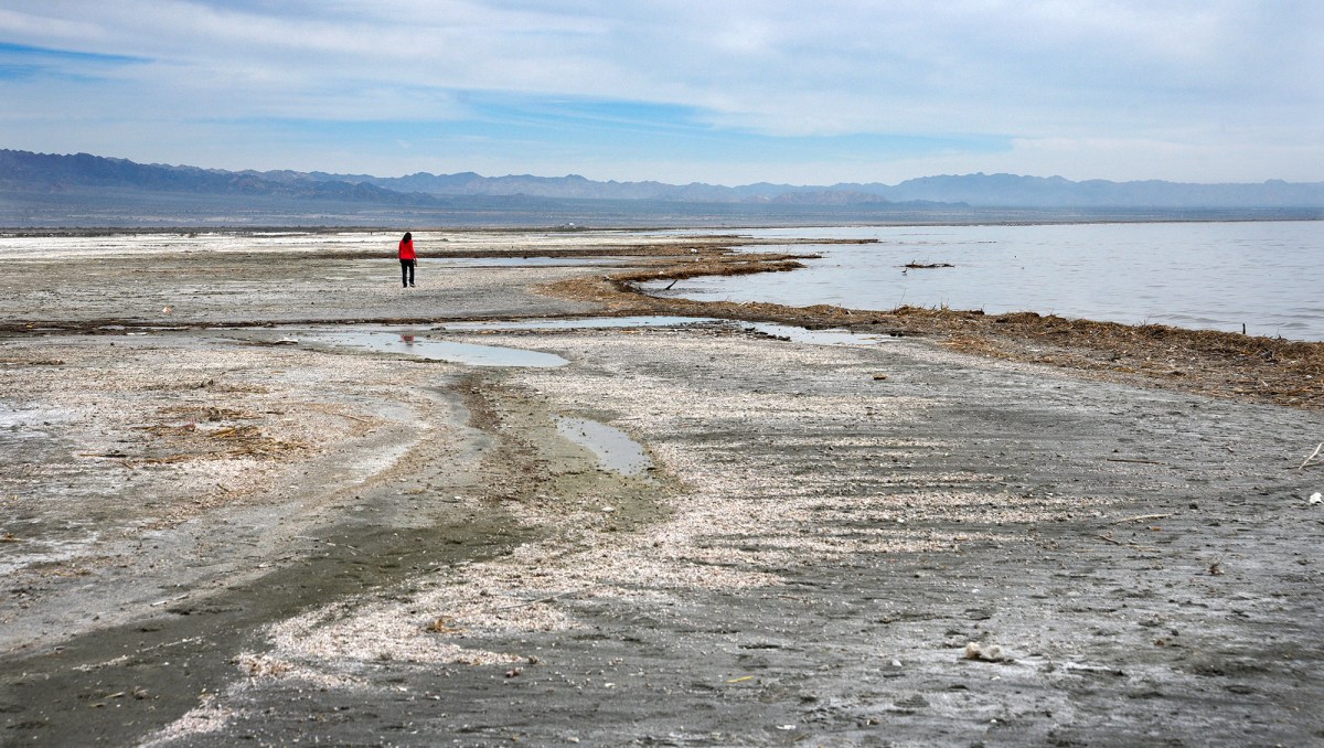 A woman walks along the shore of the Salton Sea in Southern California