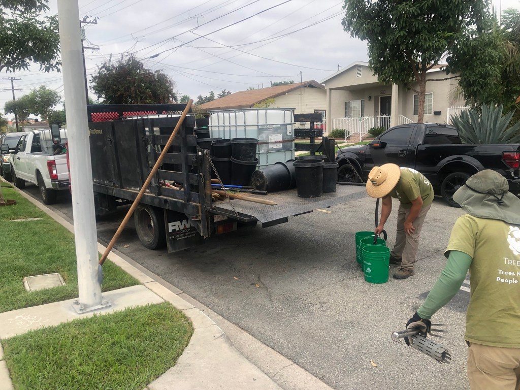Cities want more trees. Drought is complicating their efforts. Grist