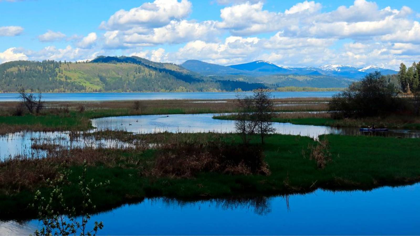 Wetlands in northern Idaho