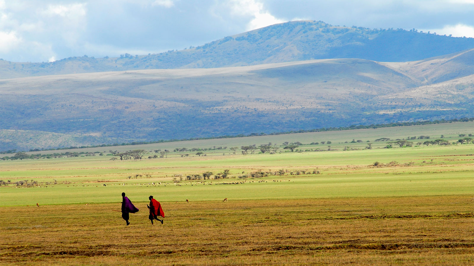 Two Maasai people wearing brightly colored clothing walking on a field with mountains rising in the distance