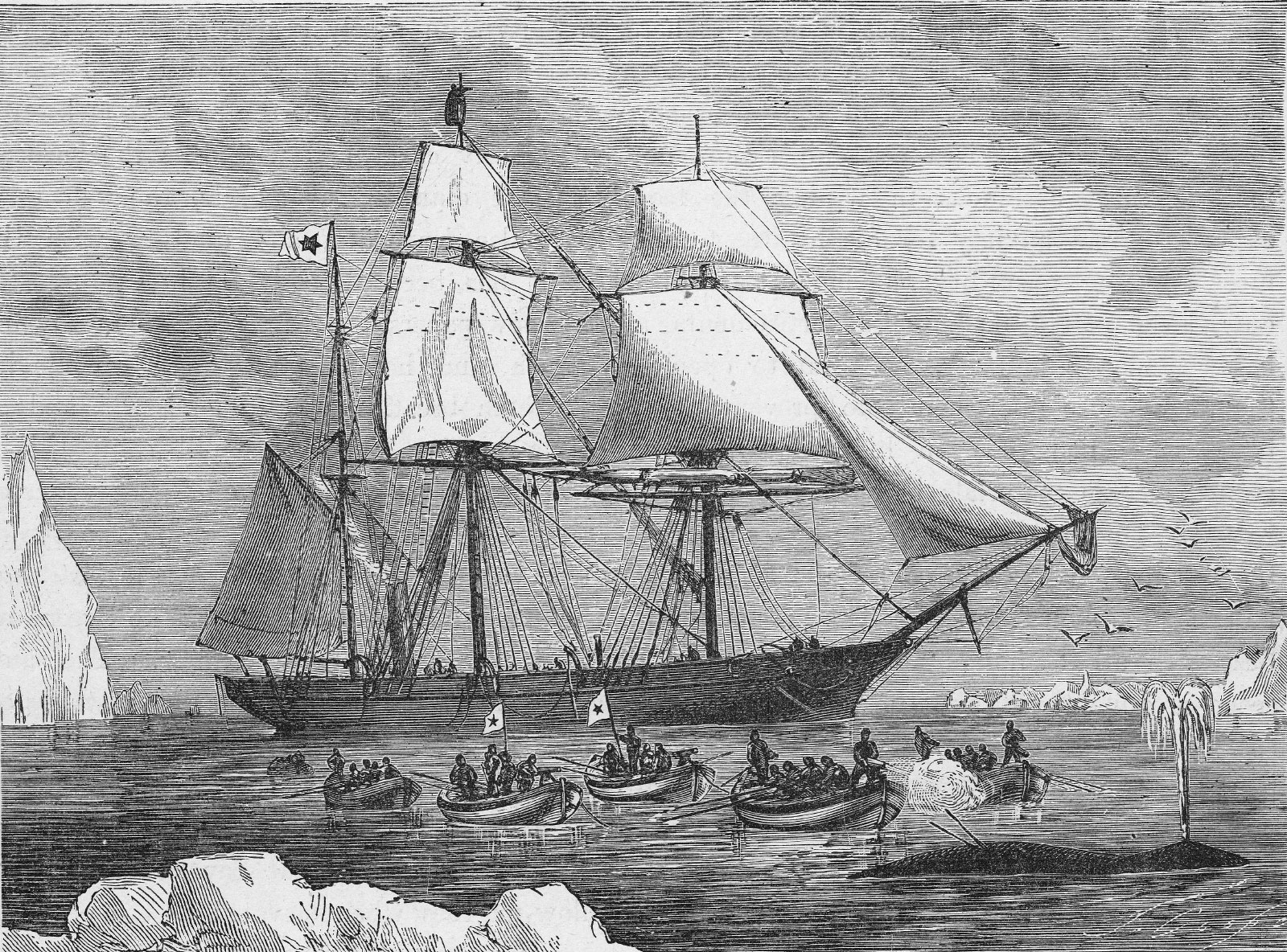 Engraving of a whaling scene, with a large ship in the background and fisherman in boats and a whale in the foreground