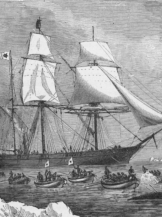 How centuriesold whaling logs are filling gaps in our climate