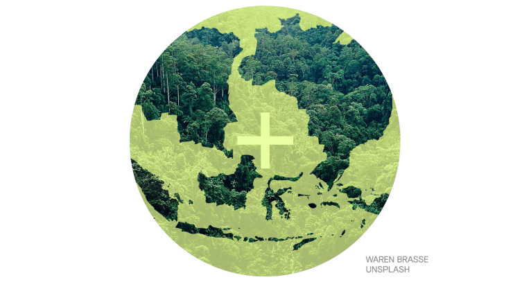 Image of a rainforest on which are maps of Indonesia, Brazil and Democratic Republic of the Congo