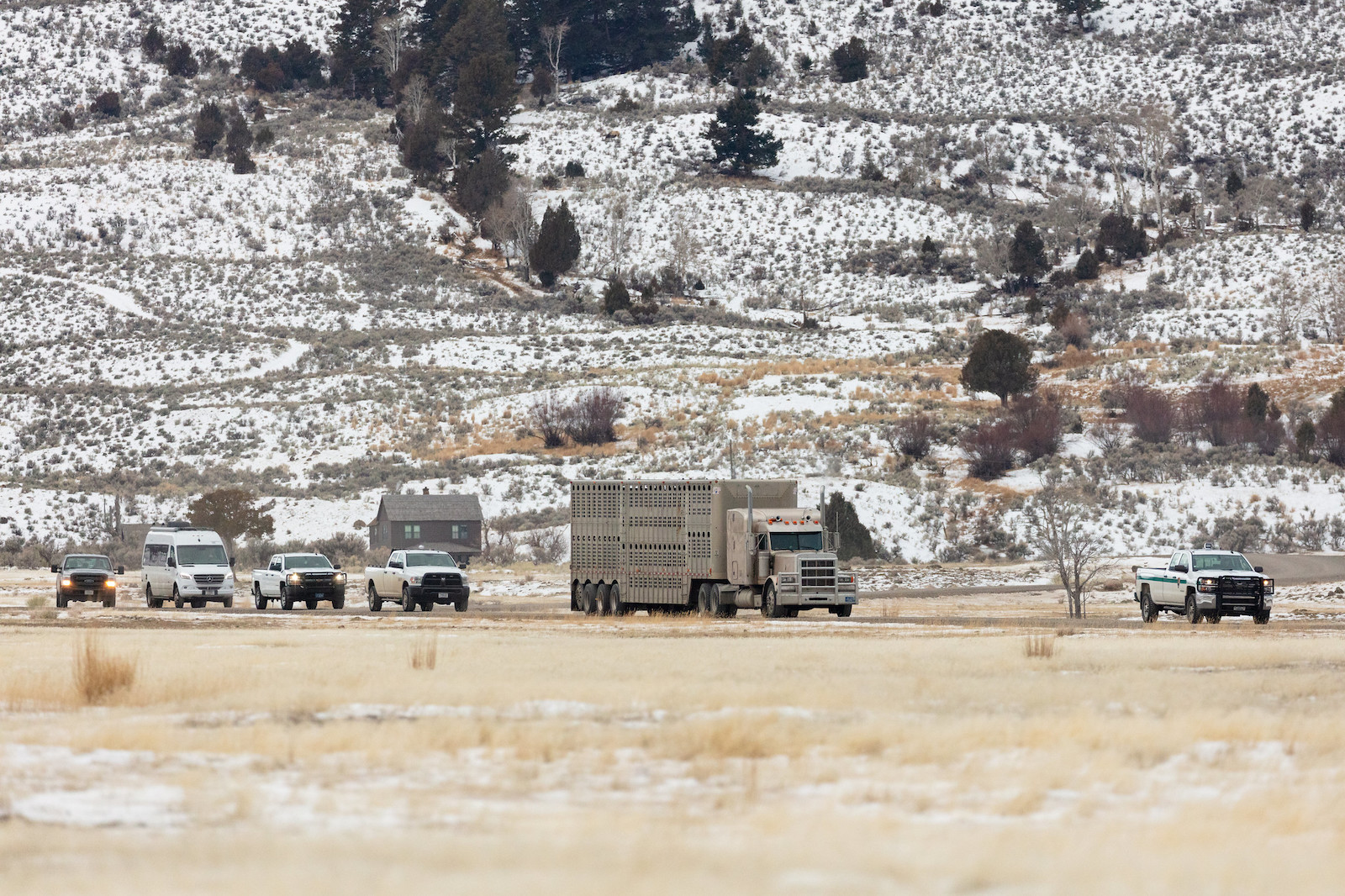 a line of trucks cross snowy lands