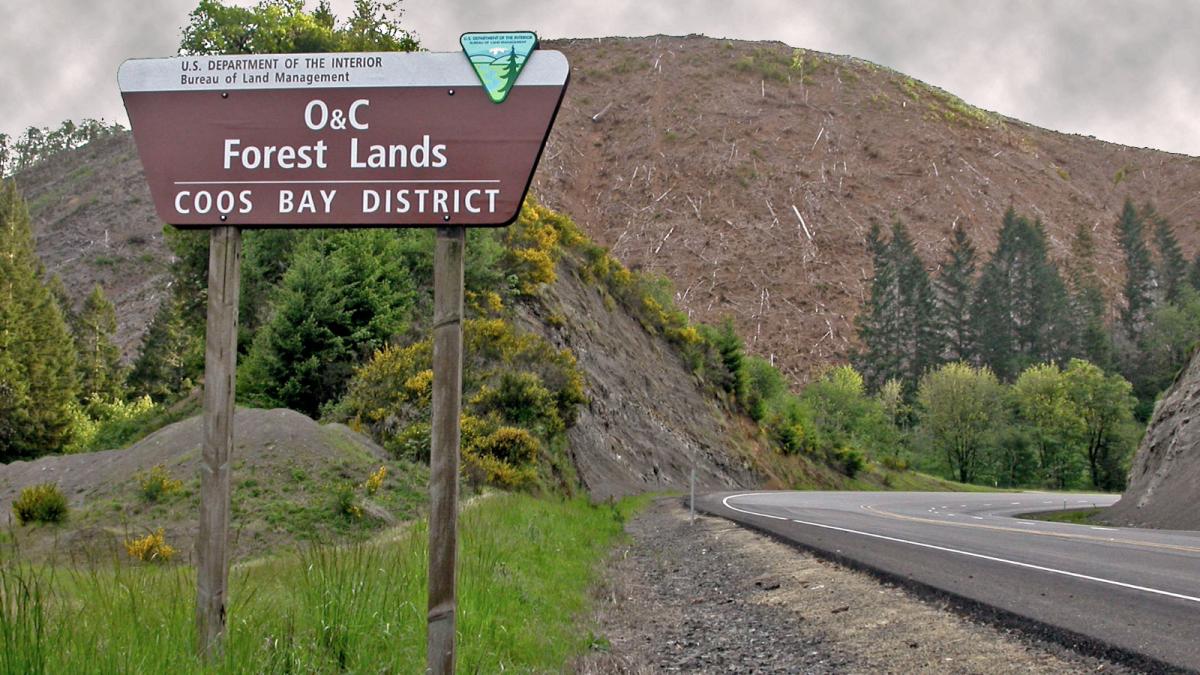 U.S. Department of the Interior, Bureau of Land Management sign that reads "O&C Forest Lands, Coos Bay District"; a road curves to the right with a hill showing logging aftermath in the background