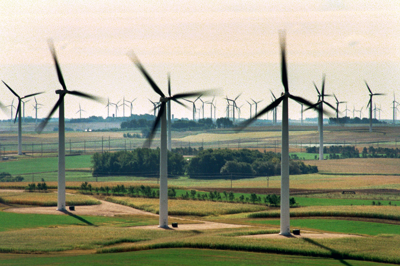 Rows of wind turbines are seen scattered across farmland
