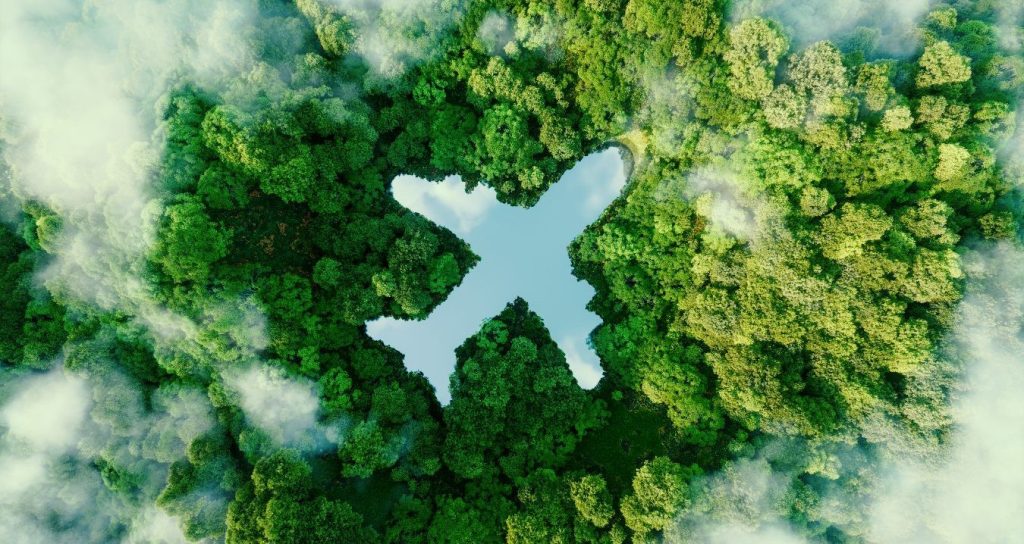 A lake in the shape of an airplane in the middle of untouched nature, illustrating the issue of sustainable travel