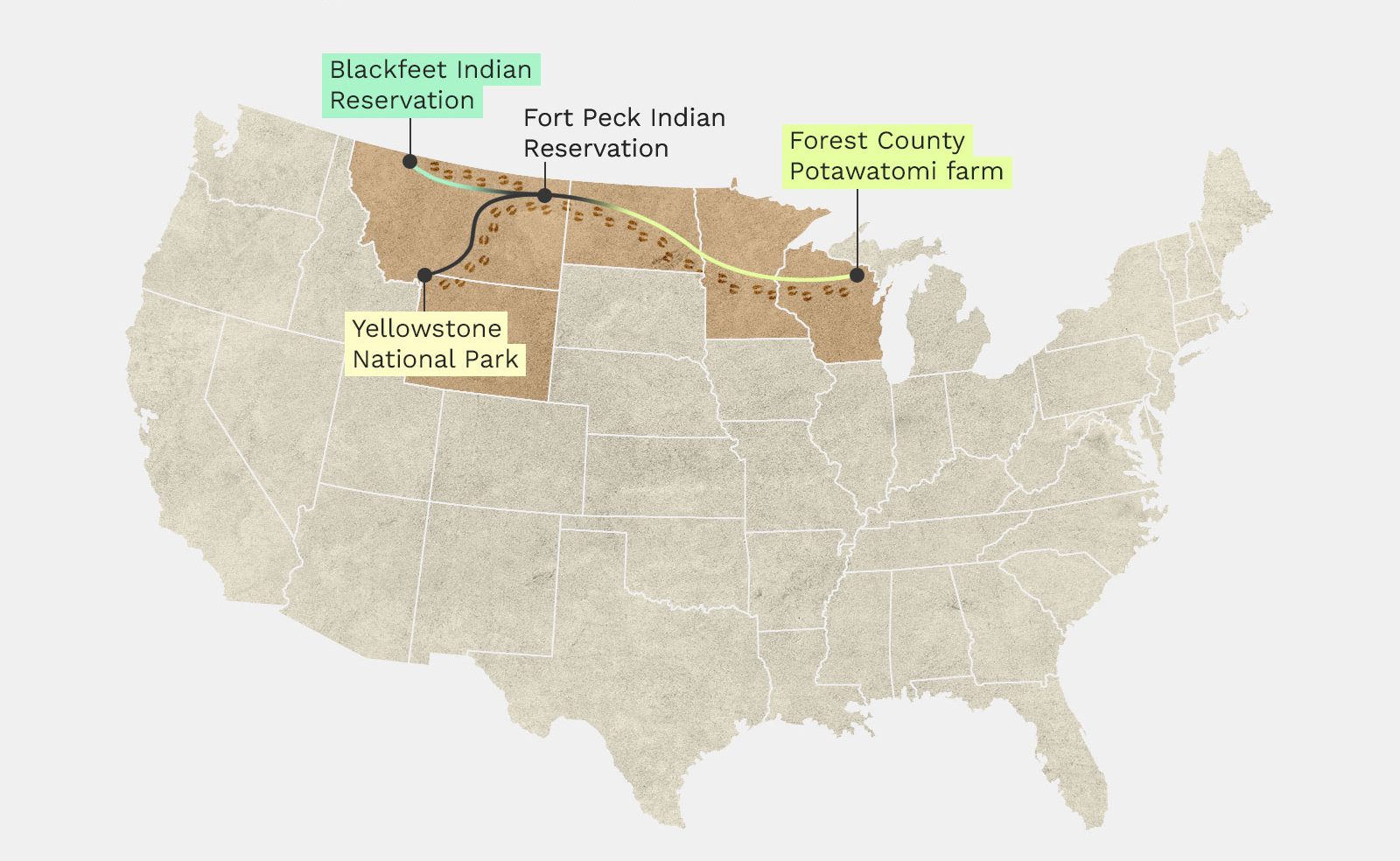Map showing migration route of bison