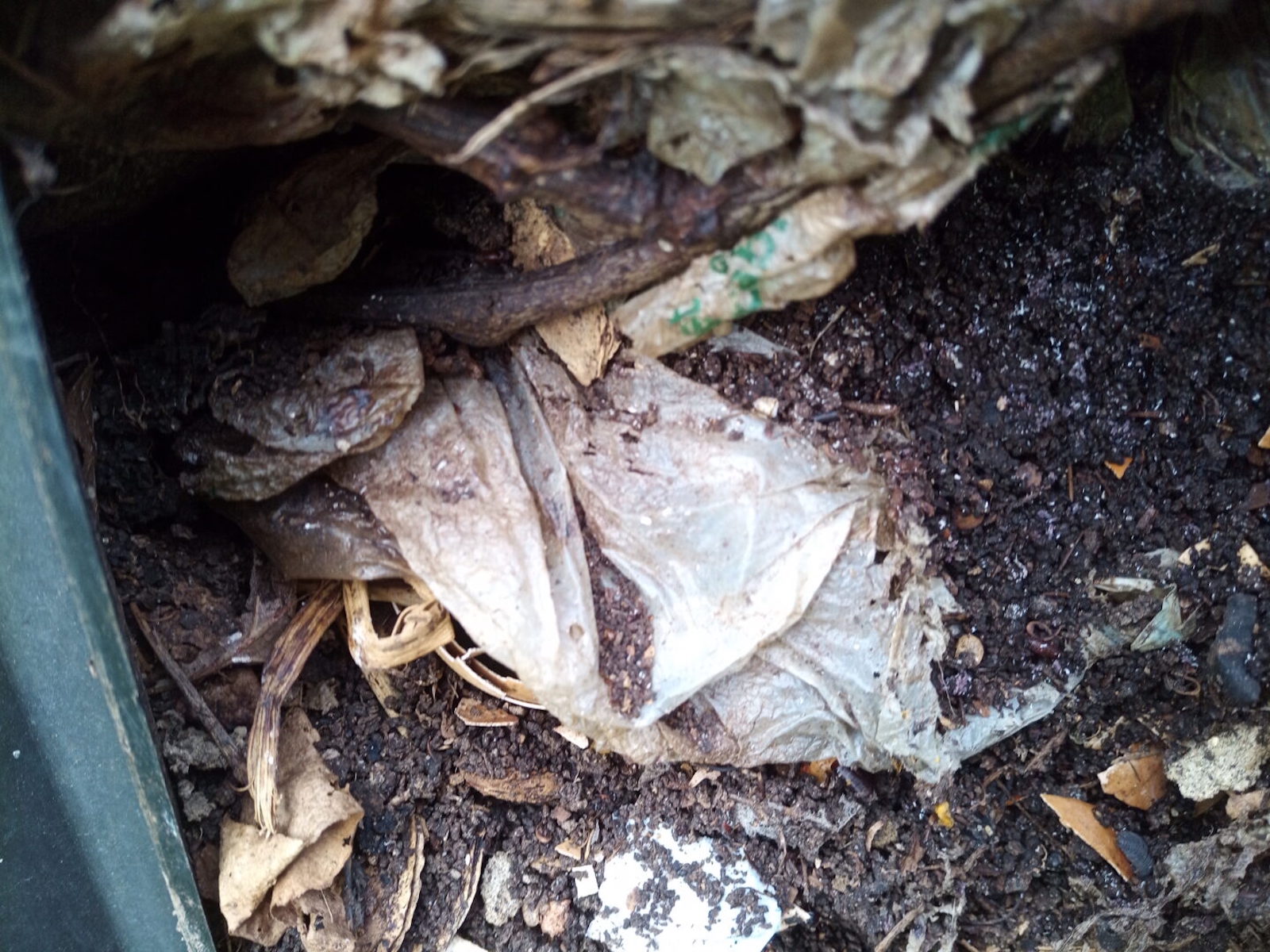 a plastic bag in a pile of organic waste