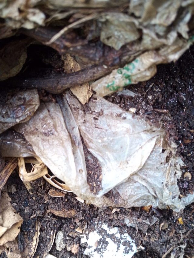 The myth of plastics Grist