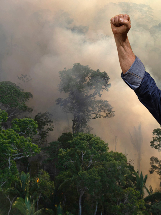 This week in good climate news