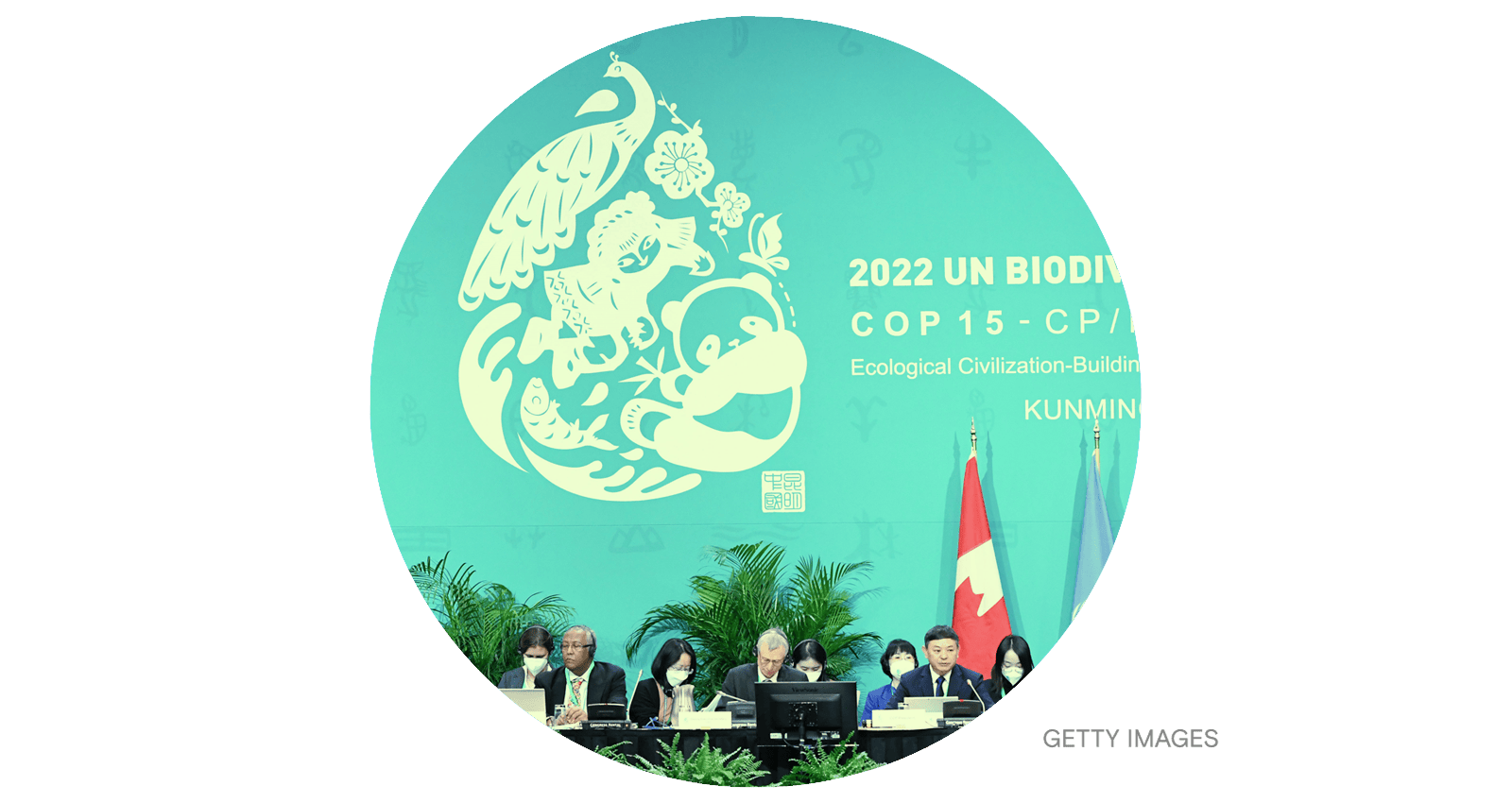 A 'historic' international agreement to protect nature - Grist | Grist