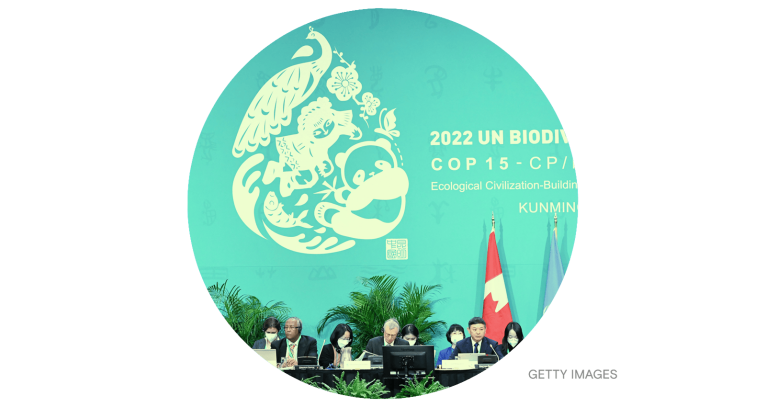 The 15th meeting of the Conference of the Parties to the UN Convention on Biological Diversity COP15 in Montreal, Canada