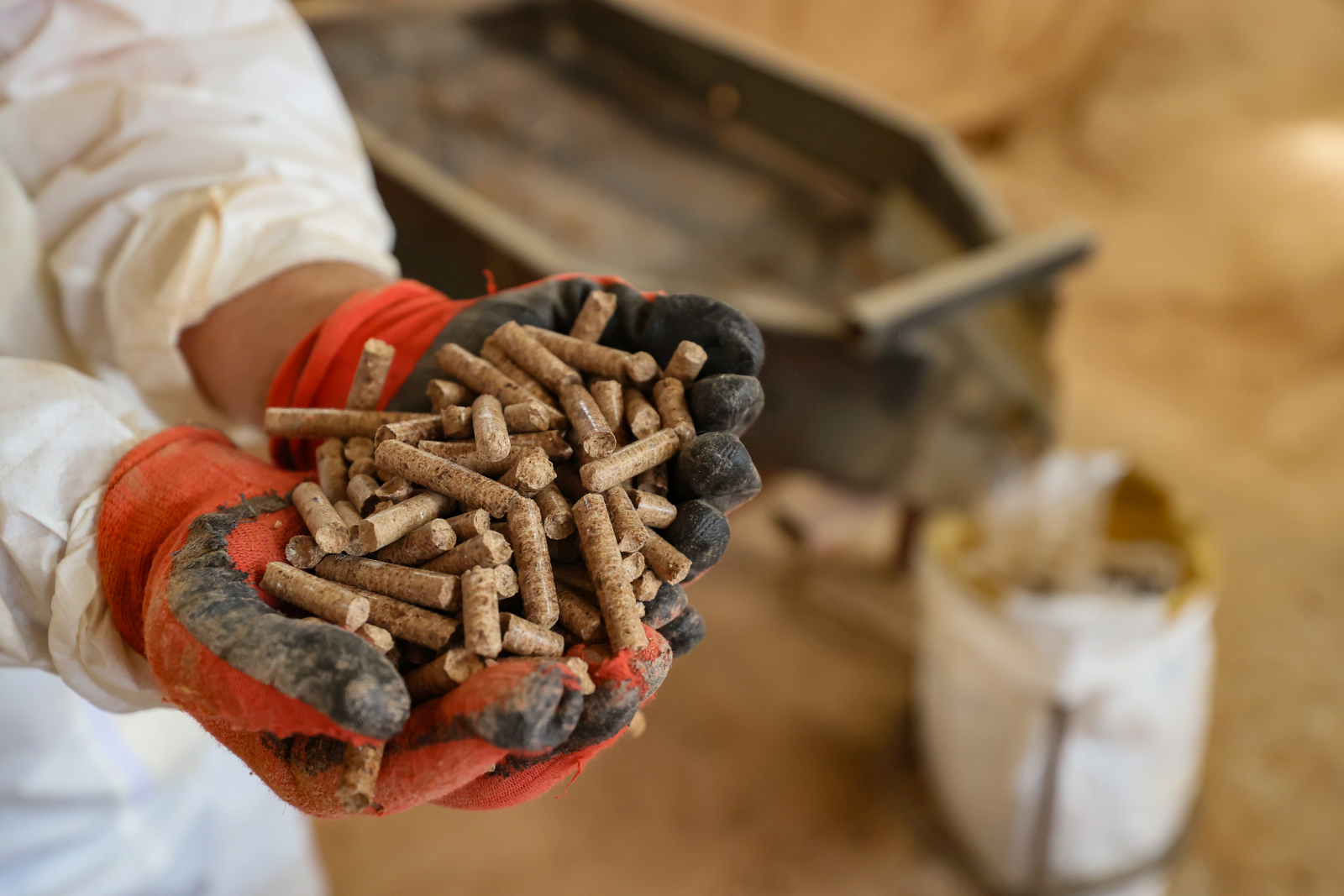 A person in red and black gloves holds a pile of brown wood pellets in his hand.