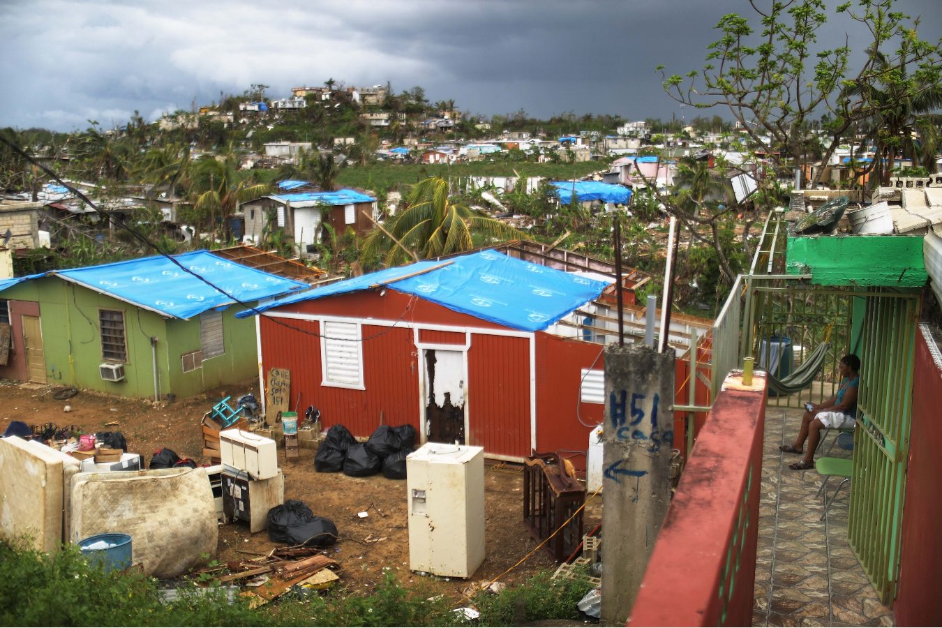 A series of homes with blue rooftop tarps in the aftermath of Hurricane Maria in Puerto Rico.