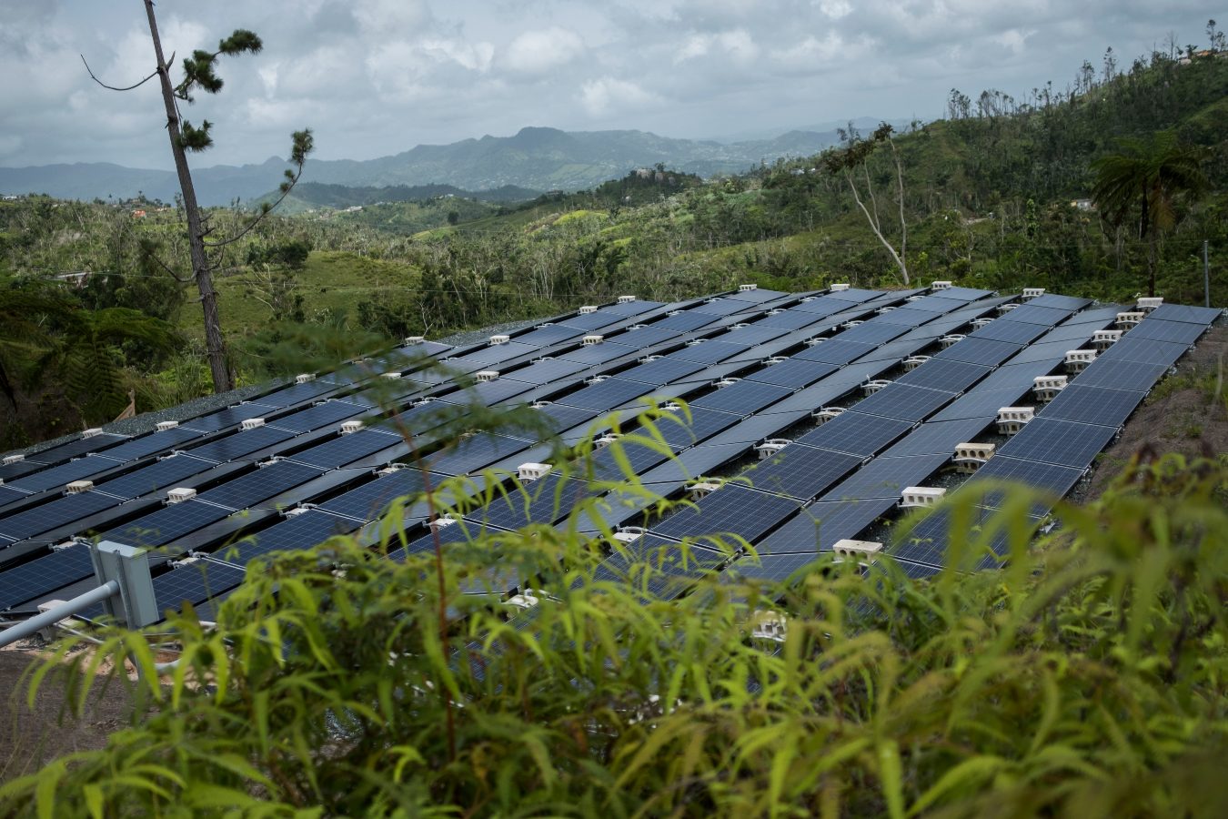A solar farm sits in the middle of a lush, green, and mountainous landscape in Puerto Rico.