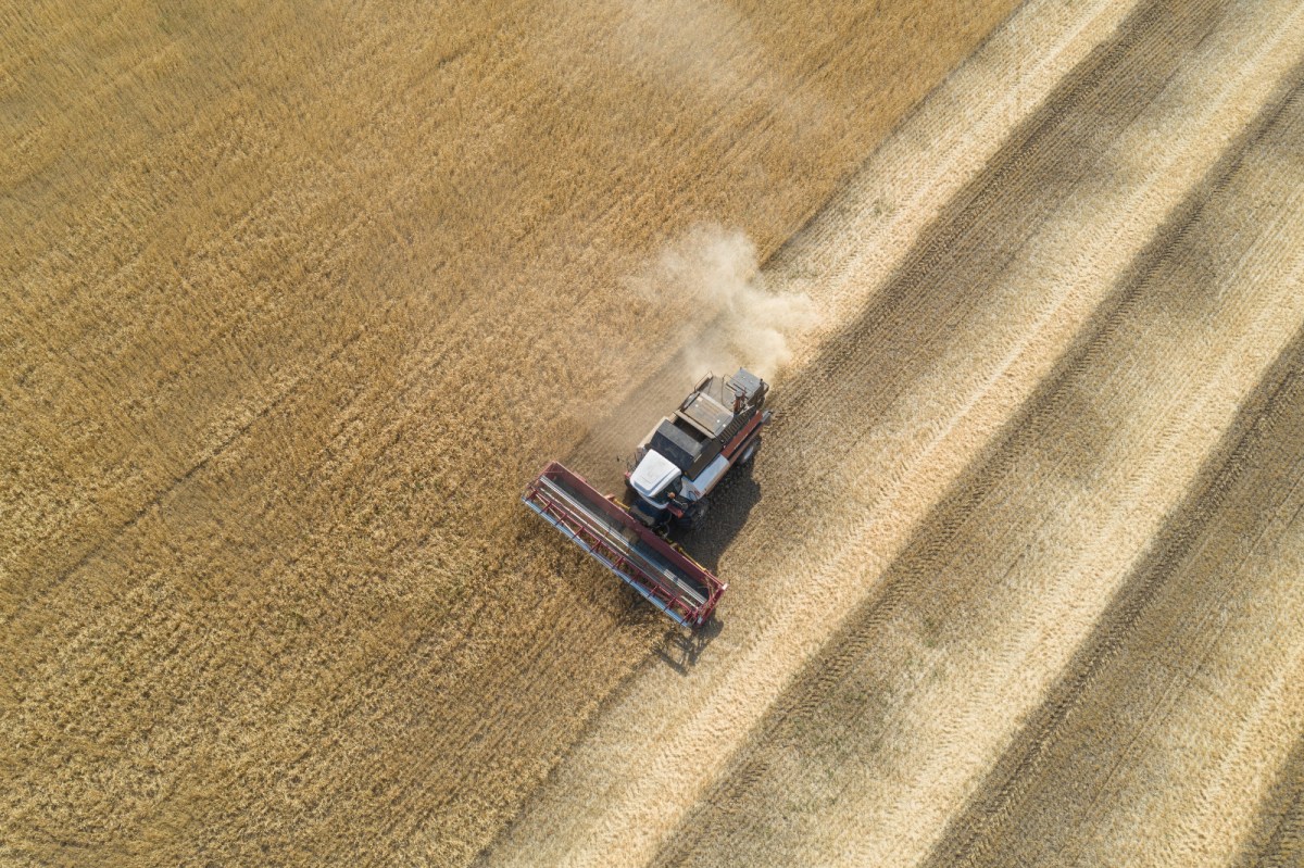 An aerial photo shows a combine harvester cutting through a field of wheat during harvesting season in the Orenburg region, Russia on August 31, 2022. Farmers of the Ural region received a large amount of wheat harvest due to the dry climate in the southern regions as it allows harvest even at nights without dew.