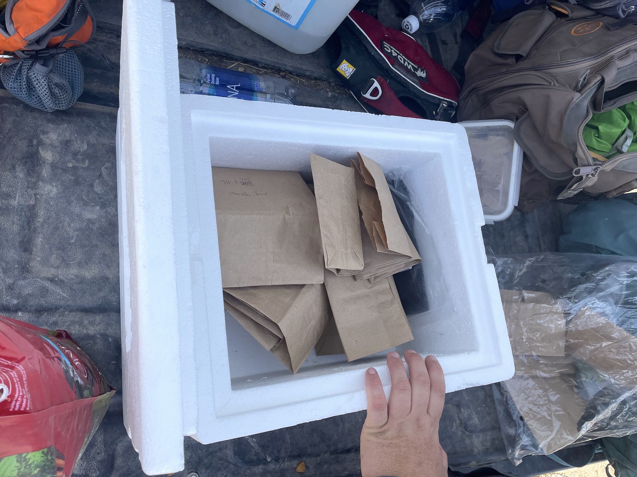 a white box full of brown bags sits near a pile of dog supplies. A hand rests on the cooler