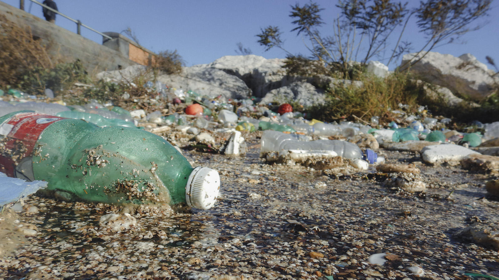 Plastic bottles litter a beach