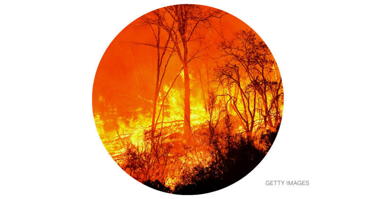Creek Fire in the Sierra National Forest