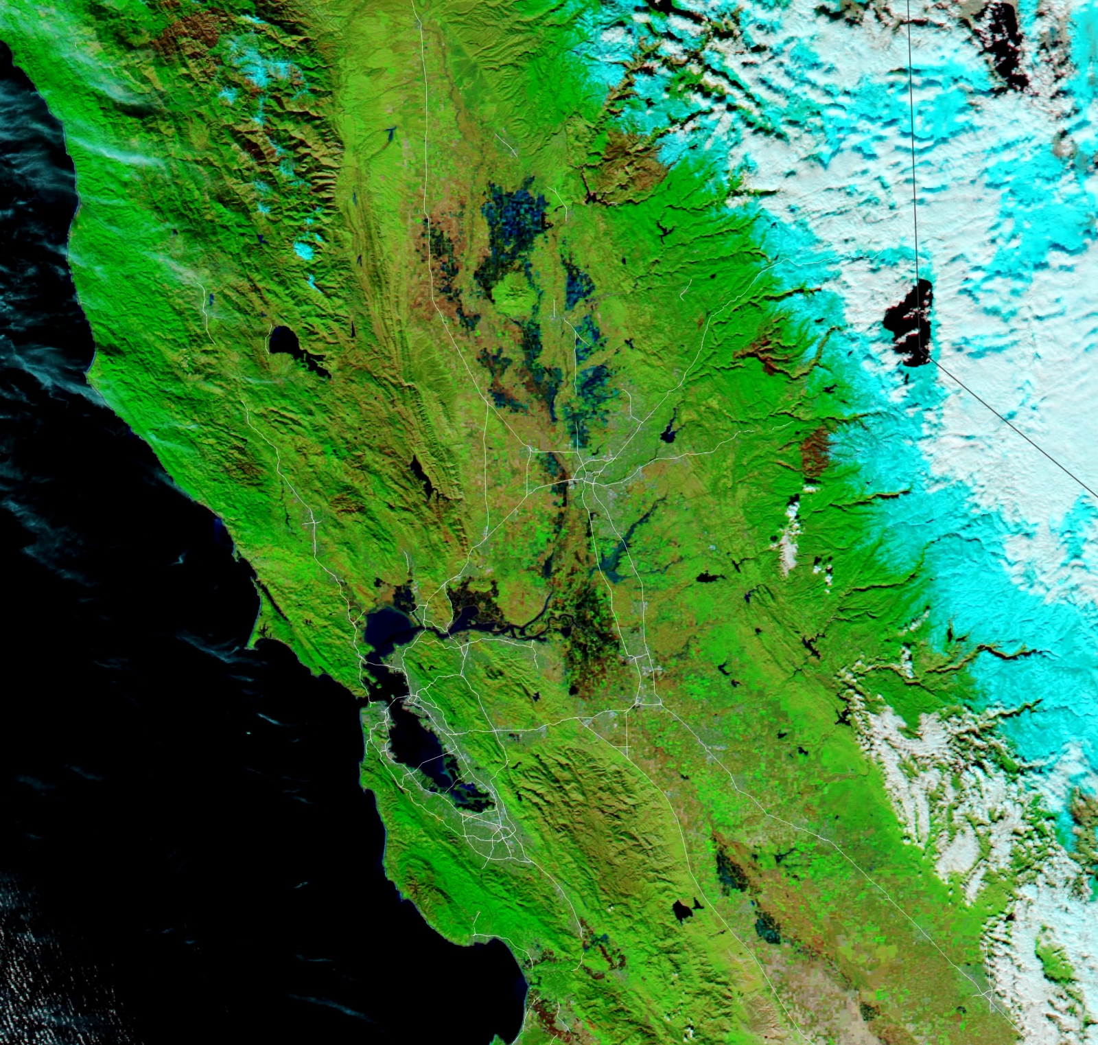 A false-color satellite image shows the flooding caused by an atmospheric river rain event that struck California around New Year's Day.
