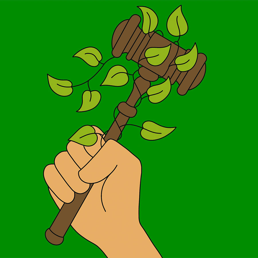 Illustration of a hand holding a gavel, wrapped in leaves