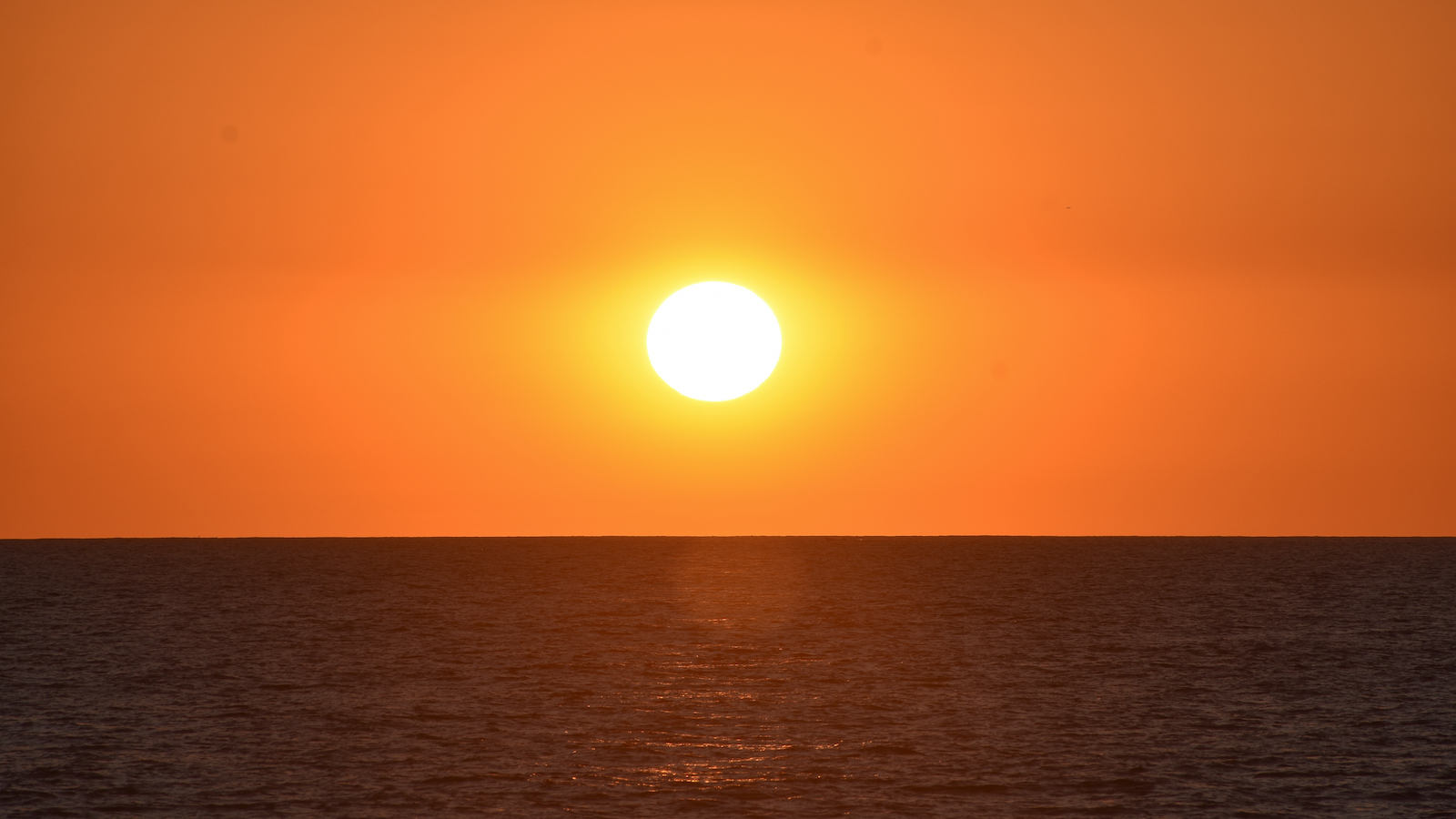 the sun hovers low in the horizon over the ocean. The sky is orange.
