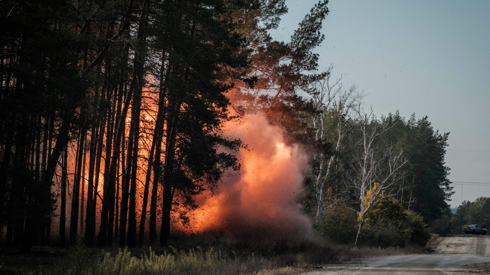 explosives detonated in pine forest in Ukraine