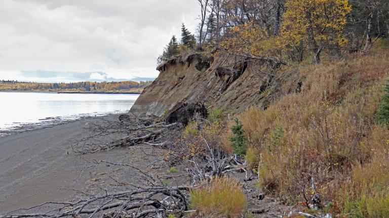 An eroding bluff on a beach in coastal Alaska.