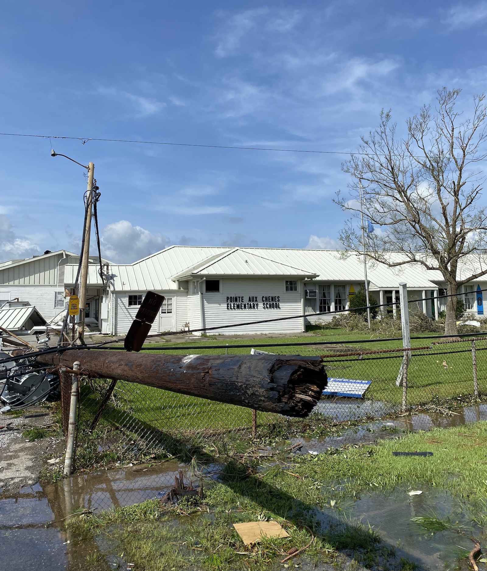 a fallen tree and water sit near a white school building