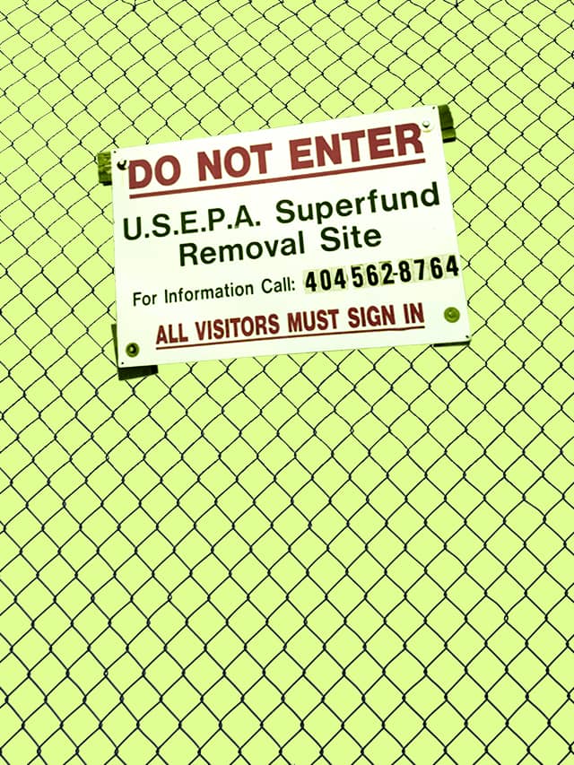 This week in good climate news