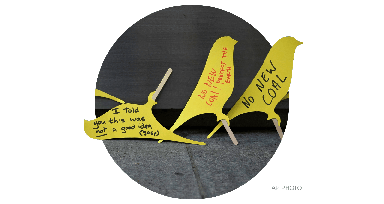 Yellow, canary shaped signs protesting coal